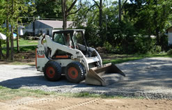 Bobcat